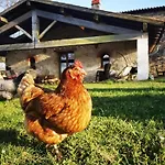 Dependance Avec Balneotherapie Maurens (Haute-Garonne)