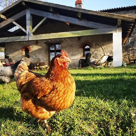 Dependance Avec Balneotherapie Maurens (Haute-Garonne)