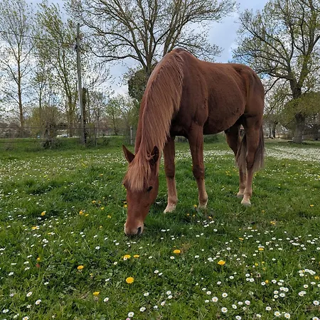 Dépendance Avec Balnéothérapie Сasa de vacaciones *