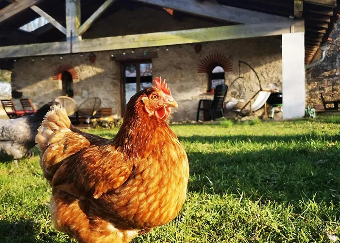 Dépendance Avec Balnéothérapie Maurens (Haute-Garonne)