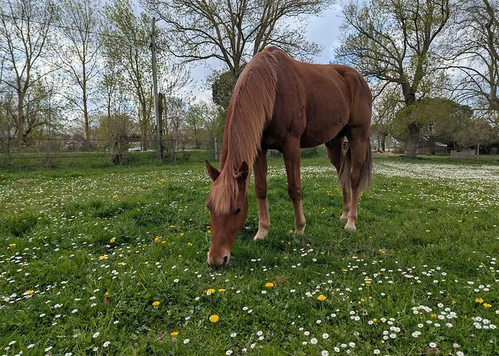 Dépendance Avec Balnéothérapie Сasa de vacaciones *